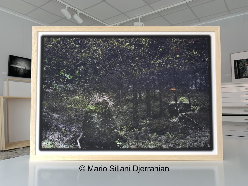 cornici trieste incornici